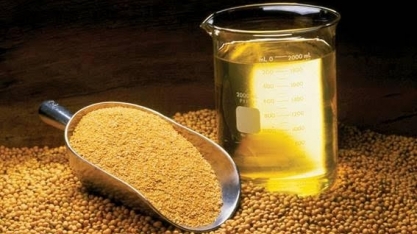 Exportações do complexo soja devem recuar para US$ 59,7 bi