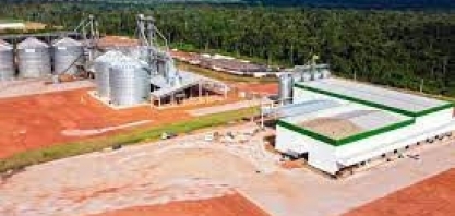 Coopernorte abre sua agroindústria para processar arroz, feijão e milho