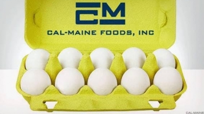 Ovos/EUA: Call Maine tem caso de gripe aviária em granja no Texas