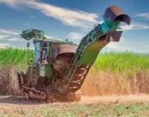 Cana: Safra 2023/24 tem recordes de moagem e fabricação de etanol e açúcar