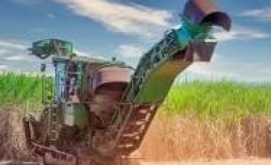 Cana: Safra 2023/24 tem recordes de moagem e fabricação de etanol e açúcar