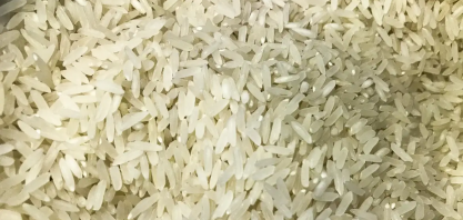 Arroz: Entidades do setor afirmam que não há risco de desabastecimento