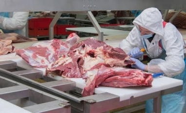 Exportação total de carne bovina em abril de 2024 é recorde de 236.842 t