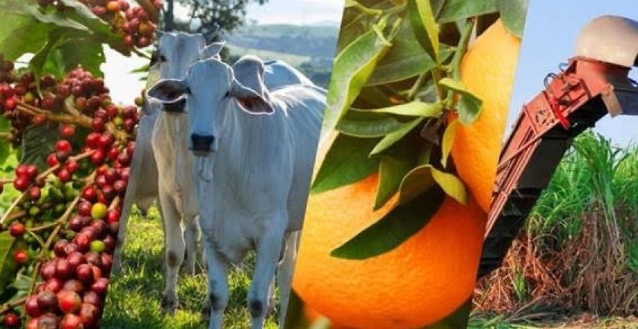 Agro Paulista registra superávit de US$ 7,51 bilhões