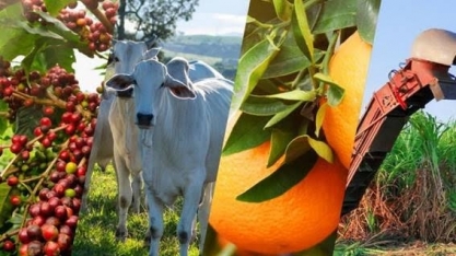 Agro Paulista registra superávit de US$ 7,51 bilhões