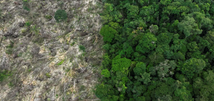 Desmatamento no Brasil cai 11,6% em 2023, aponta MapBiomas