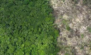 Desmatamento na amazônia cai 22% em 2023, menor patamar desde 2018