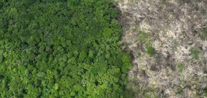 Desmatamento na amazônia cai 22% em 2023, menor patamar desde 2018