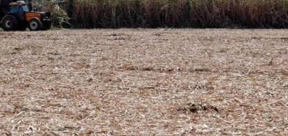 La Niña: Onde chove e seca no Brasil com a chegada do fenômeno climático?