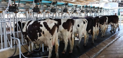 Nestlé fecha acordo com Sumitomo para descarbonização de fazendas leiteiras