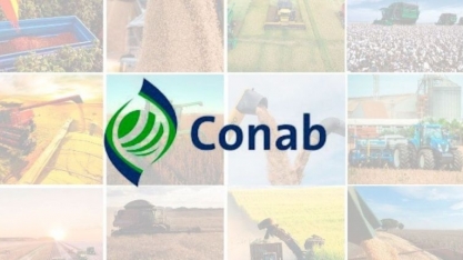 Conab eleva área plantada de soja e vê safra maior apesar de perdas no RS
