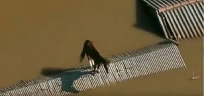 Sistema de alerta de desastres está pronto, mas governo não libera