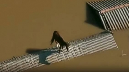 Sistema de alerta de desastres está pronto, mas governo não libera