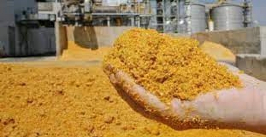 Indústria de etanol de milho busca ampliar venda de DDGs ao Vietnã