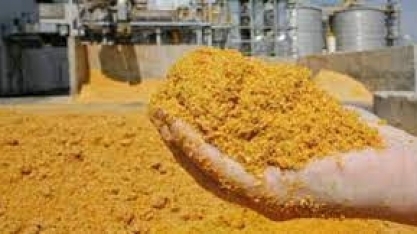 Indústria de etanol de milho busca ampliar venda de DDGs ao Vietnã