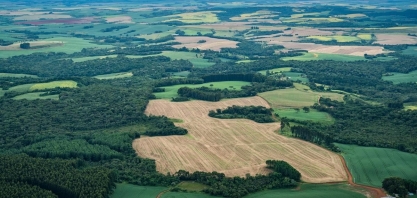 Desmatamento cai na mata atlântica, mas cresce na fronteira com cerrado