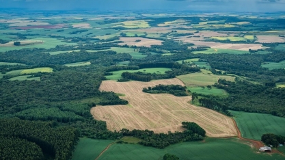 Desmatamento cai na mata atlântica, mas cresce na fronteira com cerrado