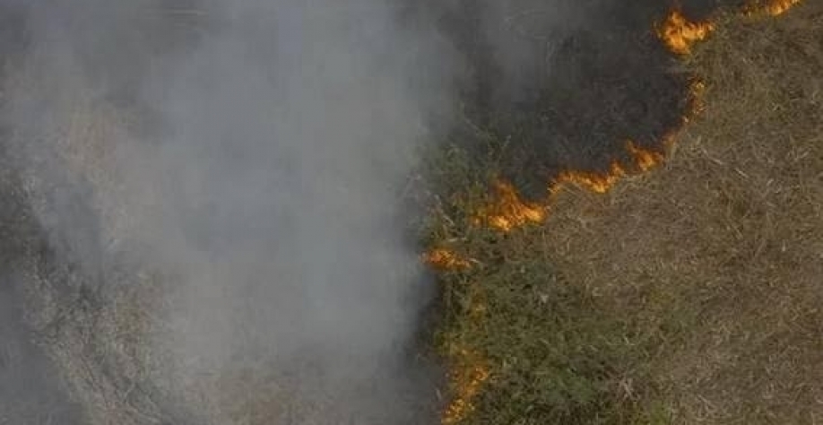 Com 17 mil focos de queimada em 4 meses, Brasil bate novo recorde