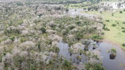 Homem que usou agrotóxico da Guerra do Vietnã recebeu empréstimos públicos