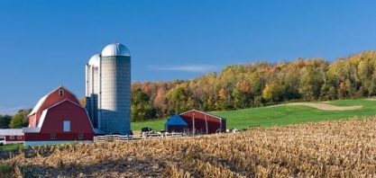 EUA têm déficit agrícola recorde, e Brasil é um dos responsáveis