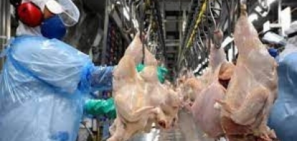 Abertura de Lesoto amplia presença brasileira no mercado africano