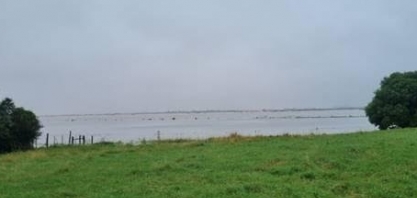 Governo prepara medida para Conab importar 1 milhão de toneladas de arroz