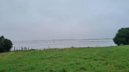 Governo prepara medida para Conab importar 1 milhão de toneladas de arroz