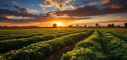 Café: Não foi por falta de aviso – Por Marcelo Fraga Moreira