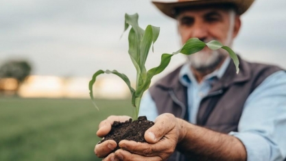 Desastres climáticos exigem nova política de seguro rural