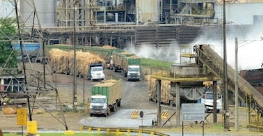 Raízen: Usina de R$ 1,2 bi e avanço na produção do etanol de 2ª geração