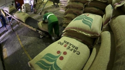 Brasil deve fechar 2023/24 com exportação recorde de café
