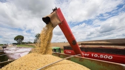 Limitação do uso do PIS/Cofins pode custar R$ 10 bi ao ano para o agro