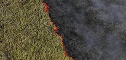 MS decreta emergência após incêndios no Pantanal