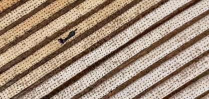 Por que a recuperação do agronegócio será lenta no RS