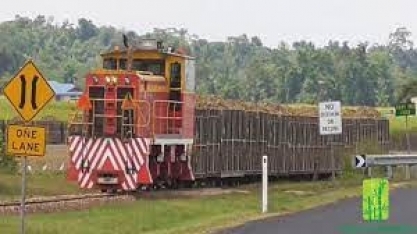Greves em usinas de açúcar colocam em risco a safra de cana da Austrália