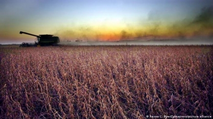 Alimentos transgênicos: Vilões ou salvadores do clima?