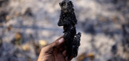 Incêndios no Pantanal a caminho de superar marca histórica