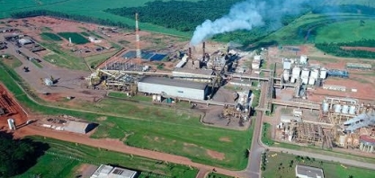 Cocal tem lucro líquido de R$ 438,1 mi em 2023/24, alta de 1,3%