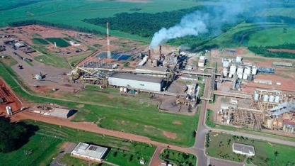 Cocal tem lucro líquido de R$ 438,1 mi em 2023/24, alta de 1,3%