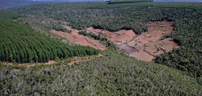 Lula: Lei facilita 'privatização' da água para plantio de eucalipto