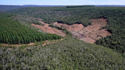 Lula: Lei facilita 'privatização' da água para plantio de eucalipto