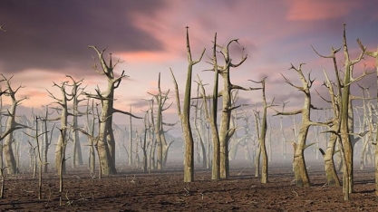 Do Mar Negro ao Meio-Oeste dos EUA, clima ameaça a produção agrícola