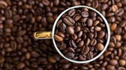 MP do PIS/Cofins torna país menos competitivo, dizem exportadores de café