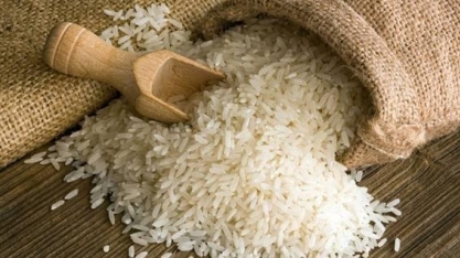 Produtores do RS afirmam que não havia necessidade de importação de arroz