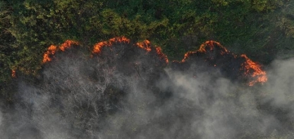 Área queimada no pantanal é recorde em 2024 e 54% maior do que em 2020