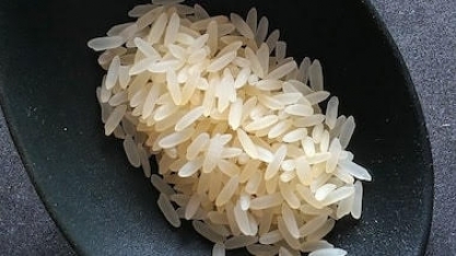 Importar arroz é subsidiar também quem não precisa