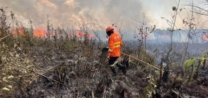Pantanal registra mais de 900% de aumento nos focos de queimadas em 2024 