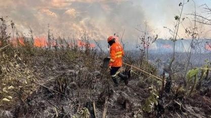 Pantanal registra mais de 900% de aumento nos focos de queimadas em 2024 