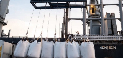 Açúcar atinge menor nível em 20 meses