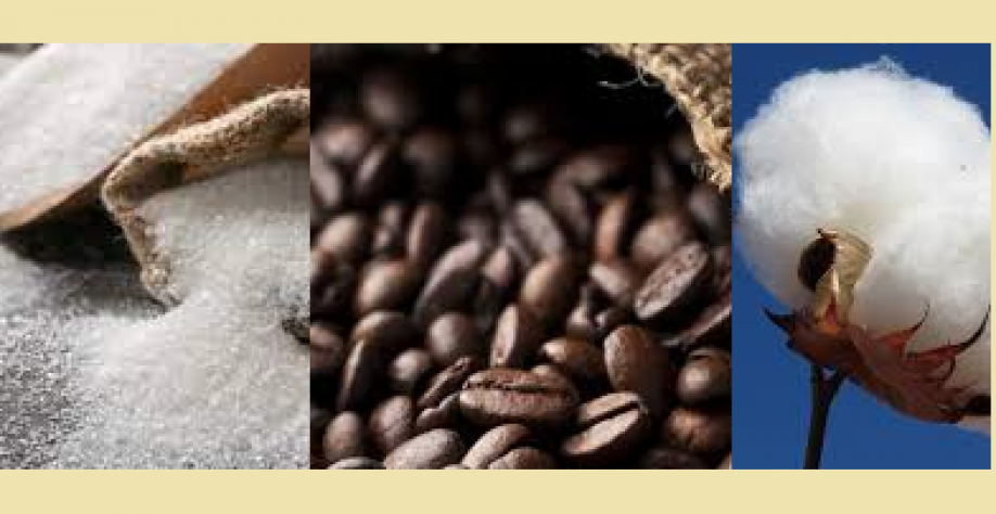Açúcar, café e algodão embalam exportações do agronegócio no ano 